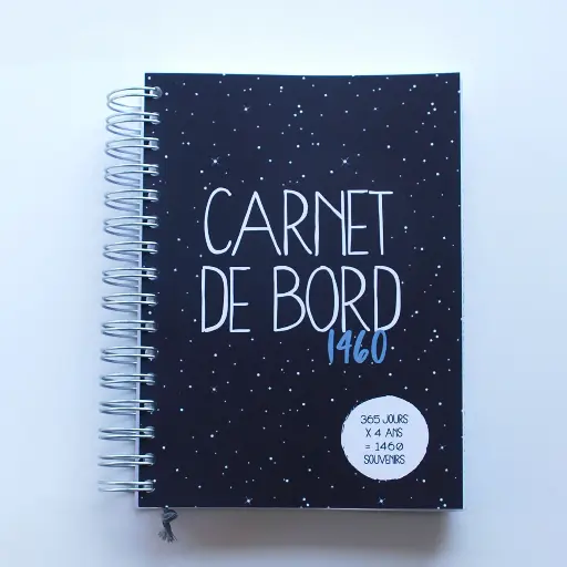 Carnet de bord 1460 - Starry night